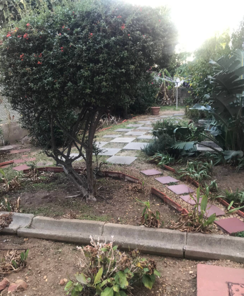 To Let 0 Bedroom Property for Rent in Green Point Western Cape